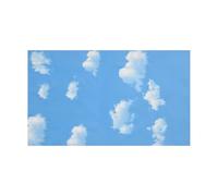 Ujjdwiurgh 3X5Ft Bleu Ciel Blanc Nuage Photographie Toile de Fond éCran Fond Studio Accessoires