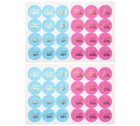 Ujjdwiurgh 48 PièCes D'Autocollants de RéVéLation de Genre Jeux D'éQuipe GarçOn et Fille D'éQuipe Parfait Genre de RéVéLation de Fournitures de FêTe Autocollants GarçOn et Fille