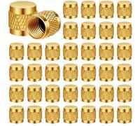 Ujjdwiurgh 50 Pièces 1/4 Capuchon Évasé, Rond en Laiton avec Joint Torique en Néoprène