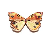 Ujjdwiurgh 50Pcs 2 Trous de Mixte Bouton de Papillon en Bois de Couture Scrapbooking DIY