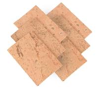 Ujjdwiurgh 50Pcs Feuille de Liège pour Saxophone 2Mm Soprano Tenor Alto Saxophone Clarinette Joint Naturel Feuille de Liège pour Cou Kit Naturel