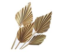 Ujjdwiurgh 8 Pcs Naturel Grandes Feuilles de Palmier Séchées -Toits Décor de Chambre pour Style Art Tenture Murale Ornement Décor de Mariage