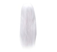 Ujjdwiurgh Anime Longue Perruque Cheveux raides Cosplay Longue Costume Hetero, Blanc