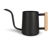 Ujjdwiurgh Arrosoir pour plantes d'intérieur, 1000 ml, en acier inoxydable, avec long bec verseur pour intérieur et maison, noir