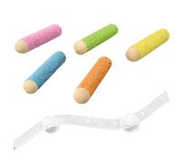 Ujjdwiurgh Cage à oiseaux murale pour perroquet, perruche, calopsitte, conure, perchoir à ventouse, rampe d'escalade, gain de place