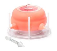 Ujjdwiurgh Distributeur de Nourriture pour Chiots, Station d'allaitement pour Chiots, Distributeurs de Nourriture pour Plusieurs Chiots, Adapté à Toutes Les Races de Chiots et Chatons.