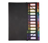 Ujjdwiurgh Dossier Extensible à 24 Pochettes Transparentes 12 Onglets ColoréS, Peut Contenir 300 Feuilles, Organisateur de Fichiers, Index NuméRoté sur la Couverture 1 PC