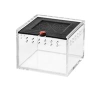 Ujjdwiurgh Enclos pour Araignées, Petite Boîte D'Élevage D'Insectes, Empêche la Fuite des Reptiles, Terrarium, Cage d'alimentation pour Insectes C