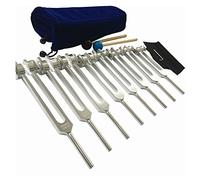 Ujjdwiurgh Ensemble de 8 Diapasons Chakra Diapason Argent Chakra Diapason pour la Guérison, pour la Méditation