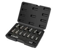 Ujjdwiurgh Ensemble D'Extracteurs de Vis à Double Tête de 15 Pièces, Kit D'Extraction de Boulon Facile à Retirer, Tête Hexagonale à Entraînement de 3/8 Pouces Multi-Cannelures