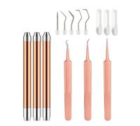 Ujjdwiurgh Ensemble D'Outils de Désherbage en Vinyle avec Kit D'Éclairage LED, Comprenant 3 Stylos LED avec 5 Pointes et un Crochet, Ainsi Que des Pincettes Éclairées pour la Découpe.