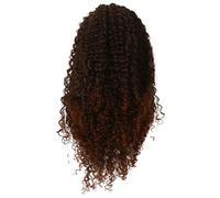 Ujjdwiurgh Femmes Européennes et Américaines 16 Pouces Cheveux Bouclés Fibre Chimique Petite Zone Tissée à la Main Perruque Marron Femmes Perruques de Lacet