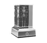 Ujjdwiurgh Figurines cubiques en cristal squelettique humain gravées en 3D, cadeaux de science médicale, modèle anatomique d'orgue B