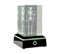 Ujjdwiurgh Figurines en Cristal Squelettique Humain Gravées au en 3D, Cadeaux Scientifiques Médicaux, Modèle Anatomique D'Organe, Presse-Papier A