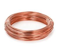 Ujjdwiurgh Fil de cuivre nu de calibre 8 30,5 m pour la fabrication de bijoux, les travaux manuels et le jardinage en électrolyture