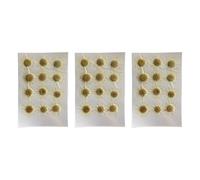 Ujjdwiurgh Fleurs Séchées Naturelles Marguerite Blanche Fleur Pressée pour Autocollants pour Ongles Chrysanthème Séché