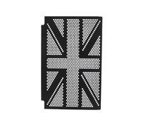 Ujjdwiurgh Grille de protection pour radiateur Trident 660 2021 2022 - Accessoires de moto