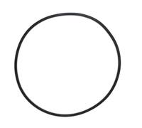 Ujjdwiurgh Joint Torique de Réservoir de Filtre de Piscine pour 27001-0061S O-484 pour Pièces de Rechange de Pompe de Piscine de Filtre de Piscine Spa- PLM100