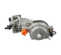 Ujjdwiurgh Kit Carburateur Générateur d'Essence LPG168 GX160 GX200 168F 3-5KW Accessoires