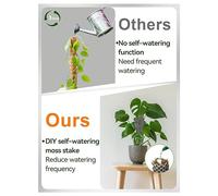 Ujjdwiurgh Kit de de Poteaux Monstera en Mousse en Plastique, Piquet de Mousse à Arrosage Automatique pour Plantes, Supports Monstera, Escalade en Pot,