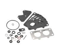 Ujjdwiurgh Kit de révision de carburateur pour 797890 792455 499811 499812 699735