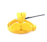Ujjdwiurgh Laisse pour perroquet jaune - Harnais réglable pour l'extérieur - Corde d'entraînement anti-morsure - Bande volante douce et confortable