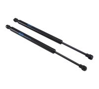 Ujjdwiurgh Lot de 2 amortisseurs de coffre arrière 51248254281 pour série 3 E46 323 325 328 330 M3