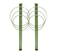 Ujjdwiurgh Lot de 2 supports de plantes en métal rouille pour plantes de jardin
