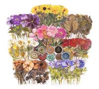 Ujjdwiurgh Lot de 320 autocollants en résine sur le thème des fleurs séchées Multicolore