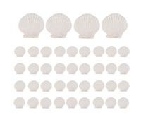 Ujjdwiurgh Lot de 40 coquillages festonnés naturels de 3,6 à 6,1 cm - Petits coquillages blancs pour travaux manuels