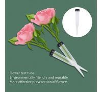 Ujjdwiurgh Lot de 50 Tubes à Fleurs en Plastique Tube à Eau Transparent pour Fleurs, Fleurs Réutilisables, Tubes à Eau