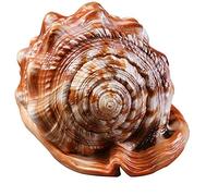 Ujjdwiurgh Ornement naturel pour aquarium en forme de conque de casque de mer, d'escargot de mer, de corail, 1 pièce