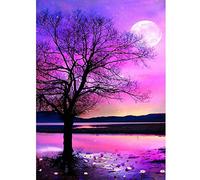 Ujjdwiurgh Peinture de Diamant de Bricolage 5D par Jeus de NuméRo, Peinture de Broderie de Strass en Cristal Pleine Perceuse Ronde avec Diamants