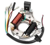 Ujjdwiurgh Plaque magnétique d'allumage 2 bobines AC Stator pour 50 cc 70 cc 90 cc 110 cc 125 cc Sunl ATV quatre roues CDI