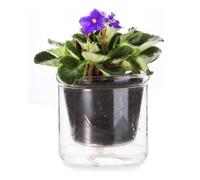 Ujjdwiurgh Pot de fleurs violettes africaines à arrosage automatique de 10,2 cm - Pot en verre avec arrosage par le bas pour plantes d'intérieur et de culture pour orchidée violette africaine