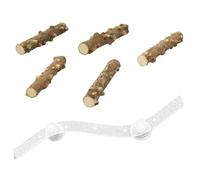 Ujjdwiurgh Pour cage à oiseaux murale pour perroquet, perruche, calopsitte, conure, perchoir à oiseaux, rampe, rampe, ventouse, gain de place, design B