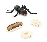 Ujjdwiurgh Simulation Fourmis Cycle de Vie des Animaux, ModèLe de Cycle de Croissance des Insectes Figurines d'action de éDucatifs pour Enfants Fourmis Noires