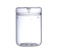 Ujjdwiurgh Terrarium en Verre Micro-Paysage avec Couvercle de Collecte de Rosée, Vase Bonsaï en Verre Paysage Microscopique Bouteille Écologique L