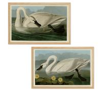 Ujoyful vintage Snow White Swan Art Print | Ensemble de 2 arts muraux d'oiseau blanc antique | Decor de pataugeoires du lac Nature | Audubon Bird