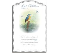 UK Greetings Carte de rétablissement pour lui/elle/ami Motif oiseau Vert 137 x 210 mm