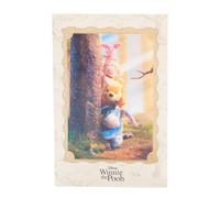 UK Greetings Disney Carte d'anniversaire Winnie l'ourson pour garçon/fille avec souvenir 3D