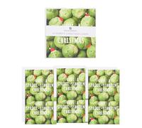 UK Greetings | Lot de 6 cartes de Noël caritatives pour lui/elle/ami | Cadeaux de Noël | Motif smiley Sprouts | 14,5 x 14,5 cm