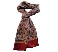 UK_Stone Écharpe pour homme 100 % pure soie avec motif classique vintage imprimé à double couche, taille unique