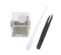 UKCOCO 1 Ensemble Boîte pour Araignées Conteneur Transparent Acrylique avec Ventilation pour Reptiles et Insectes pour Tarentules Serpents et Géckos Habitat Confortable et Observatoire
