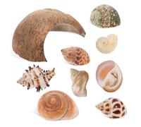 UKCOCO 1 Ensemble Maison de Noix de pour Animaux de Compagnie Habitat de Crabe ermite Grotte Cacher cachette abri en Coquille de Noix de conque de mer Naturelle conque Naturelle