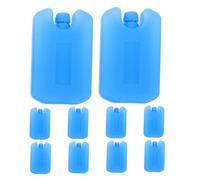 UKCOCO 10 Pièces Cooler Ice Packs Réutilisables pour Transport Longue Distance et Fraîcheur Glacières et Sacs Blocs de Congélation Sécurisés et pour Aliments et Boissons
