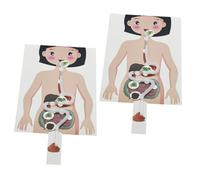 UKCOCO 2 Ensembles Modèle Système Digestif Humain DIY Kit Bricolage Éducatif pour Garçon Fille Éveil Anatomie Main et Coordination Fine