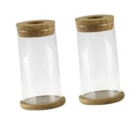 UKCOCO 2 Ensembles Vase Transparent pour Plantes de Décoration Multifonctionnelle Centre de Table Élégant pour Mariages et Intérieurs Modernes