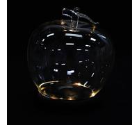 UKCOCO 2 Pièces Cloche en Verre Lumineuse avec Base en Bois pour Présent | Dôme Décoratif Rond, Vitrine Souvenir Polyvalente, pour Trésors et Bonbons, Centre de Table Anniversaire