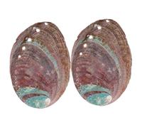 UKCOCO 2 Pièces Coquille D'ormeau Porte-Parfum pour Brûleur D'herbes | Coquille D'ormeau Marron, Support Décoratif Brut, Flux D'air de Combustion, pour Terrariums